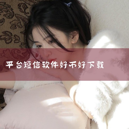 1. 优点：能集中显示各类平台发送的验证码，避免用户错过重要信息，且操作相对简单，能快速定位到所需验证码。2. 使用注意事项：要选择正规渠道下载，比如从官方应用商店获取，防止下载到盗版或恶意修改的版本|