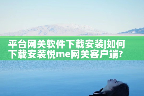 平台网关软件下载安装