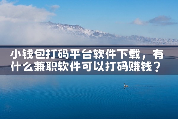 小钱包打码平台软件下载