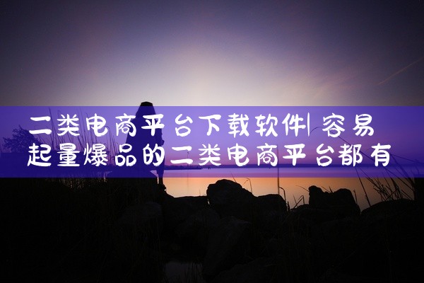 二类电商平台下载软件