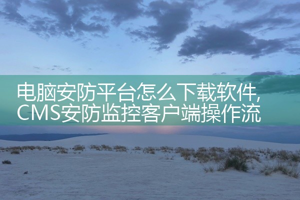 电脑安防平台怎么下载软件