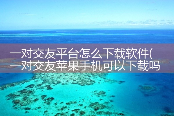 一对交友平台怎么下载软件