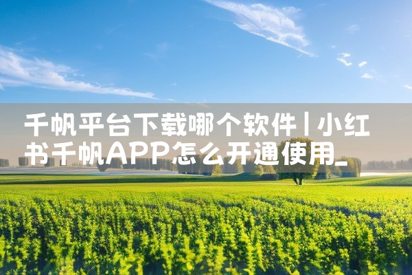 千帆平台下载哪个软件