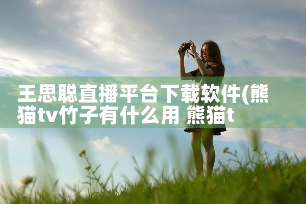 王思聪直播平台下载软件