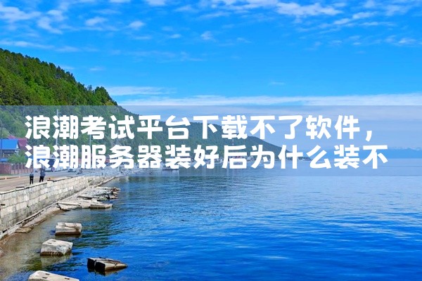 浪潮考试平台下载不了软件