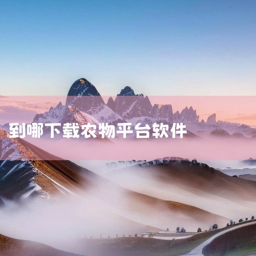 惠农网专业农产品买卖平台app是一款安卓平台的实用系统工具类应用,旨在提升手机使用效率、扩展设备功能或优化系统性能。核心功能根据工具类型有所不同,可能涵盖文件管理与传输、系统清理优化、硬件信息检测、应|